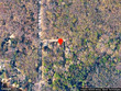 52399 randys ln, grand junction,  MI 49056