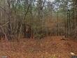 1608 mike stuck rd, little mountain,  SC 29075