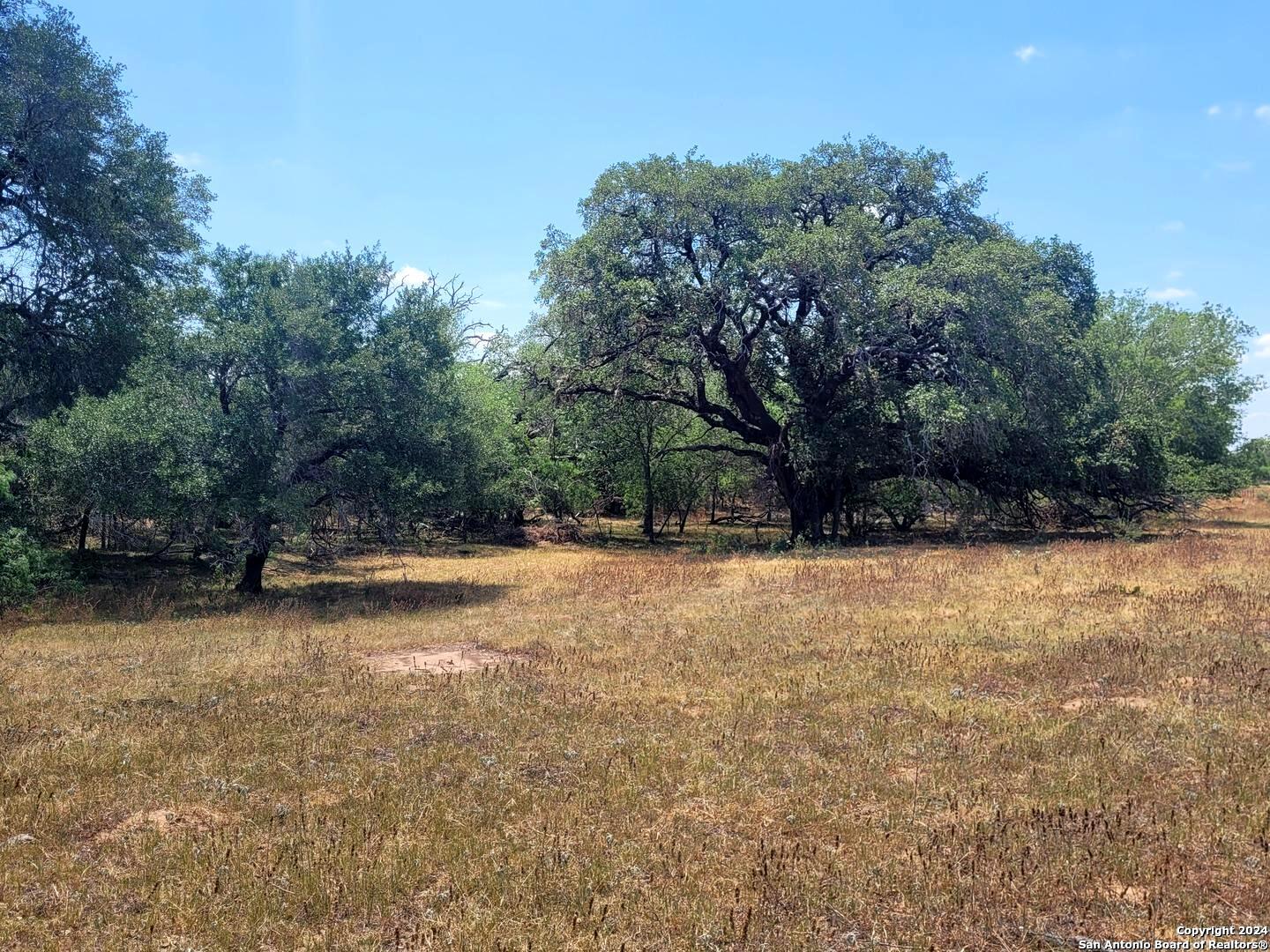 lot 3 of 7 bar r lane, floresville,  TX 78114