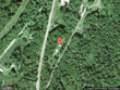 115 russell rd, waterbury center,  VT 05677