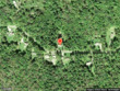  harpursville,  NY 13787
