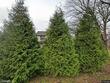 372 sandy point rd, emlenton,  PA 16049
