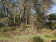 312 schuman dr, bloomingdale,  GA 31302