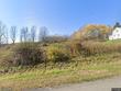  willet,  NY 13863