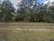 1544 s us 301, sumterville,  FL 33585