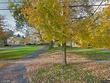  homer,  NY 13077