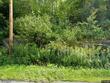 4475 vt route 100, warren,  VT 05674