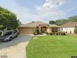 1581 oak forest dr, the villages,  FL 32162