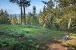  orcas island,  WA 98279