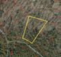 l73 forest park, ashland,  MO 65010