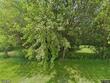 1269 e 28th rd, ransom,  IL 60470