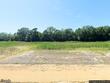 411 fast pitch ln, four oaks,  NC 27524