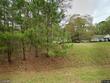 136 pebblestone ct, willow spring,  NC 27592
