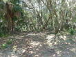 3506 myrtle st, edisto island,  SC 29438