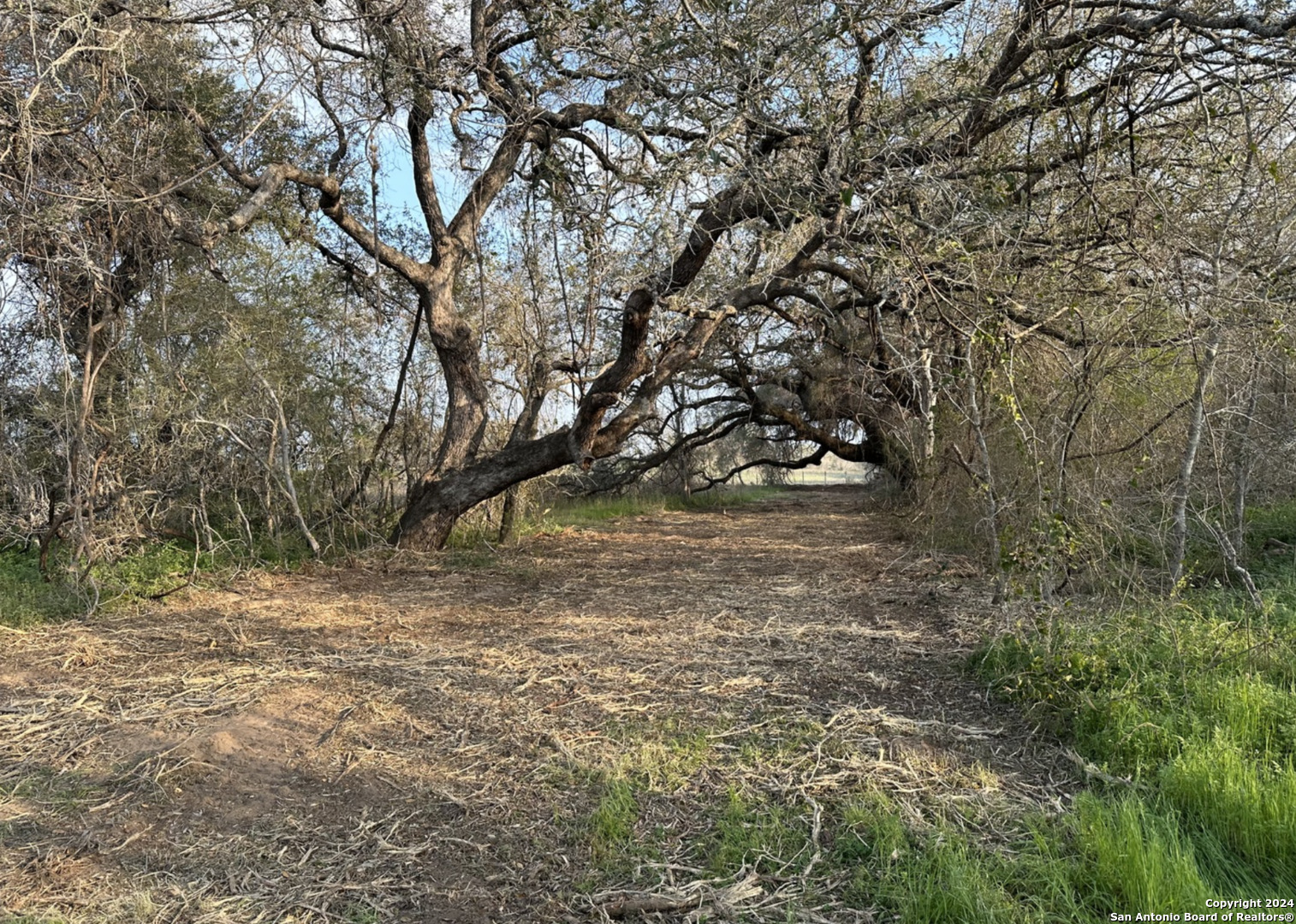 tba tejeda ln, floresville,  TX 78114