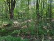 1792 steve russell hill rd, cincinnatus,  NY 13040