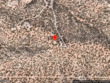 40 n vuelta herradura, santa fe,  NM 87506