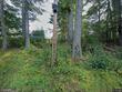 1 n dorchester rd, wentworth,  NH 03282