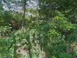 2360 bethel church rd, hiwassee,  VA 24347
