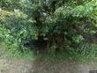 4001 parkwood ave, baltimore,  MD 21206