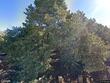 20 san juan ranch rd, santa fe,  NM 87506