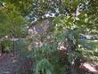 2535 treeside dr, columbia,  SC 29204