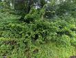 99 fogelsanger rd, shippensburg,  PA 17243