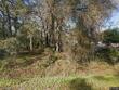 312 schuman dr, bloomingdale,  GA 31302