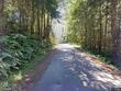 40x salmon creek rd, naselle,  WA 98638