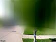 8616 baska ct, lenexa,  KS 66219