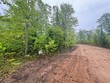 lot 3 cth b, land o lakes,  WI 54540