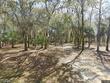 8958 palmetto rd, edisto island,  SC 29438