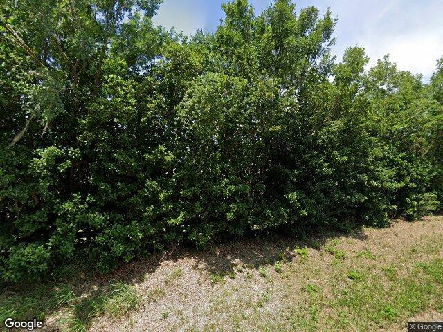 273 rowesville ln, the villages,  FL 32162