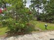 219 kingnut dr, columbia,  SC 29209
