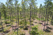 nw cr 235, lake butler,  FL 32054
