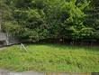  truxton,  NY 13158