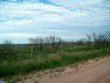 gold rd (x2 40 acre tracts), valle de oro,  TX 79010