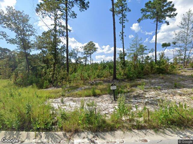 346 e arrowleaf lane lot 27, elgin,  SC 29045