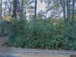 776 mount pleasant rd, clyo,  GA 31303