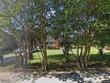  columbia,  SC 29204