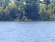 lot 15 east fence lake rd, michigamme,  MI 49861