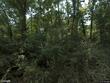 731 n 54th st, kansas city,  KS 66102