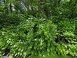 3110 s 37th st, kansas city,  KS 66106