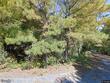  columbia,  SC 29204