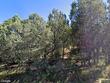 4 pop chalee, glorieta,  NM 87535