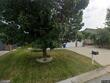 1107 nw burr oak ln, grain valley,  MO 64029