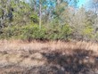 0 sw 137th street, waldo,  FL 32091