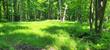 lot i basswood ridge ln, presque isle,  WI 54557