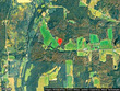  willet,  NY 13863