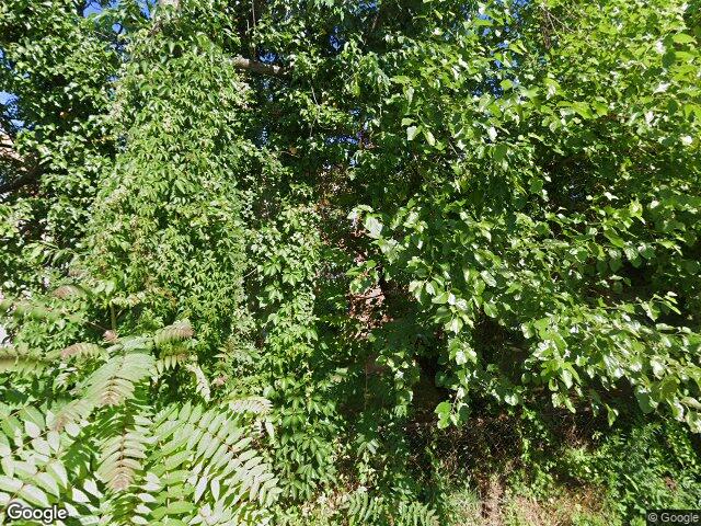 4413 falls bridge dr, baltimore,  MD 21211